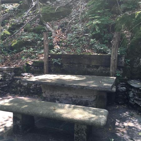 Casa In Koenigs Garten 因特拉尼亚 外观 照片