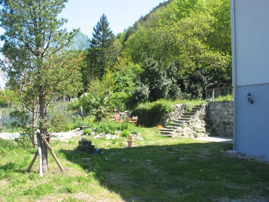 Casa In Koenigs Garten 因特拉尼亚 外观 照片