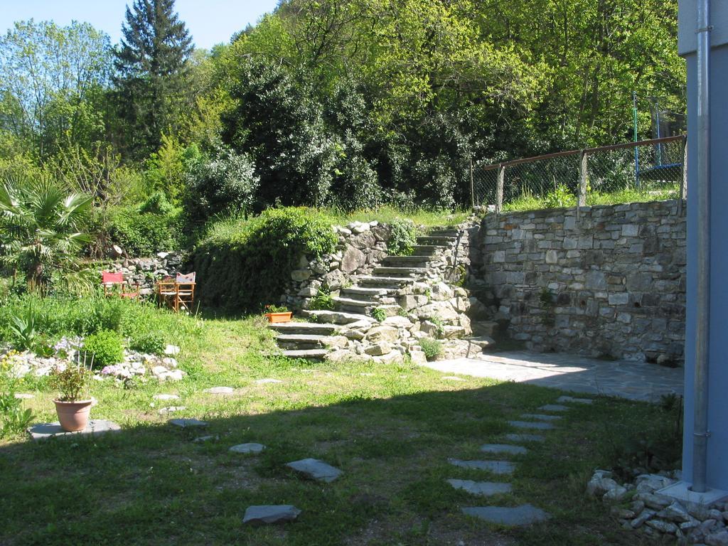 Casa In Koenigs Garten 因特拉尼亚 外观 照片