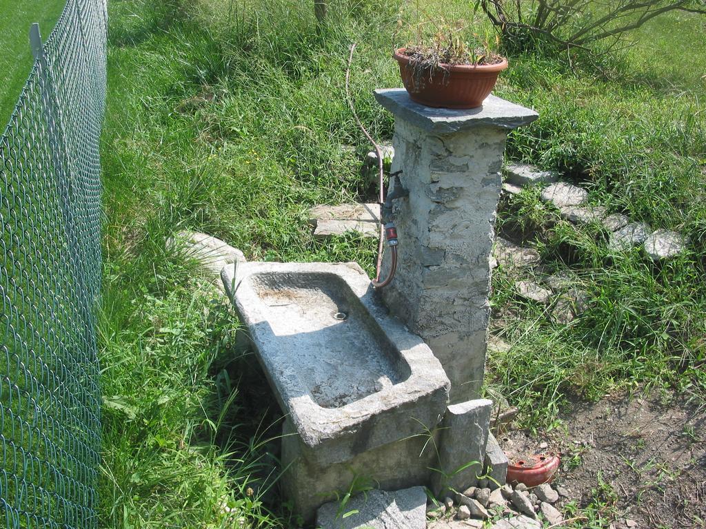 Casa In Koenigs Garten 因特拉尼亚 外观 照片