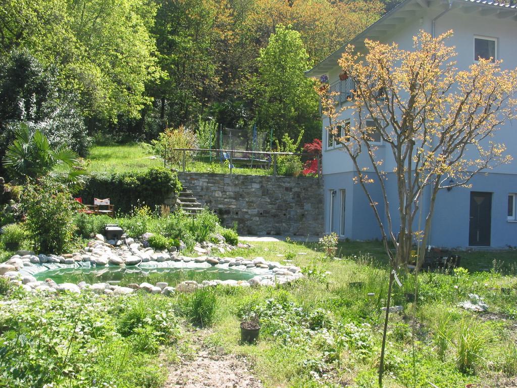 Casa In Koenigs Garten 因特拉尼亚 外观 照片