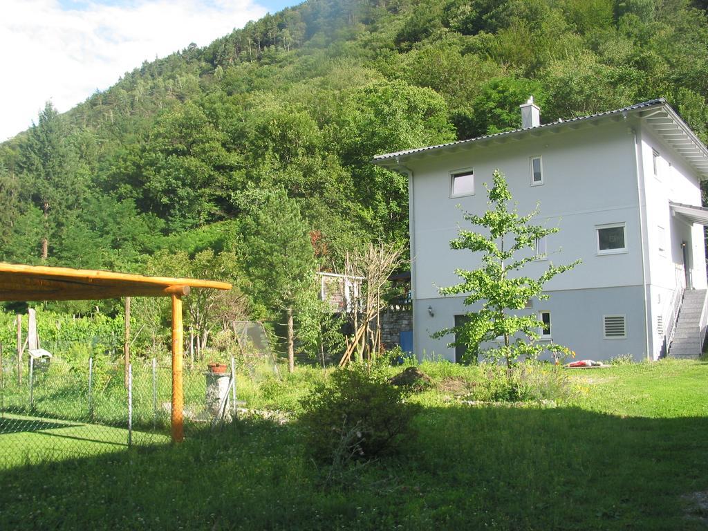 Casa In Koenigs Garten 因特拉尼亚 外观 照片