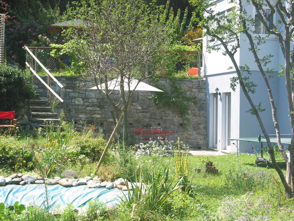 Casa In Koenigs Garten 因特拉尼亚 外观 照片