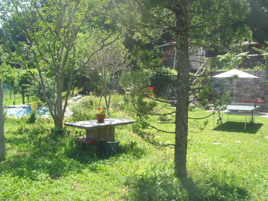 Casa In Koenigs Garten 因特拉尼亚 外观 照片
