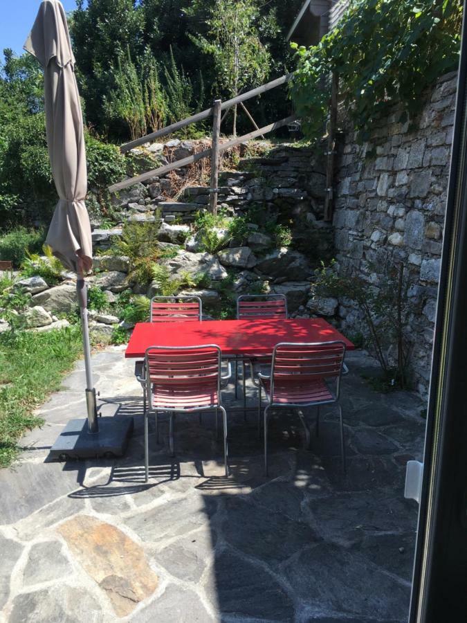 Casa In Koenigs Garten 因特拉尼亚 外观 照片